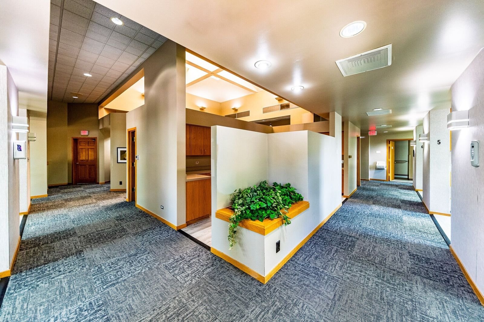 Skylit hallway with built-in planter at 7515 W Yale Ave, Denver
